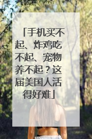 手机买不起、炸鸡吃不起、宠物养不起？这届美国人活得好难