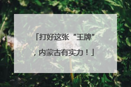 打好这张“王牌”，内蒙古有实力！