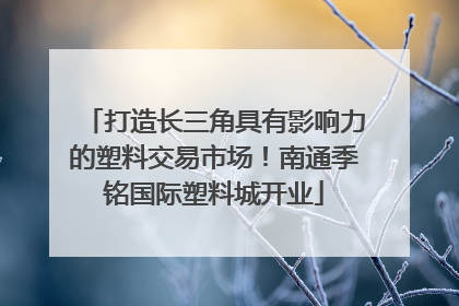 打造长三角具有影响力的塑料交易市场！南通季铭国际塑料城开业