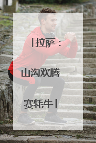 拉萨：山沟欢腾赛牦牛