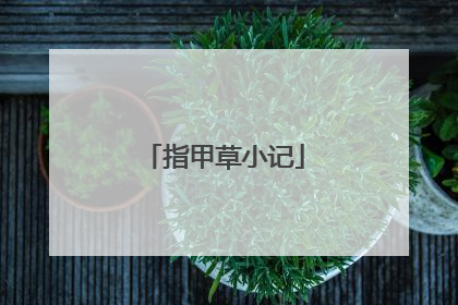 指甲草小记