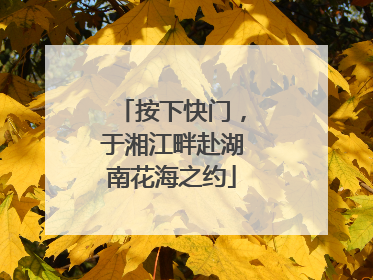 按下快门，于湘江畔赴湖南花海之约