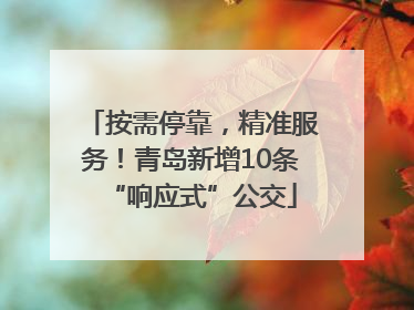 按需停靠，精准服务！青岛新增10条“响应式”公交