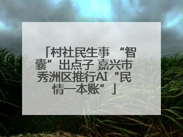 村社民生事 “智囊”出点子 嘉兴市秀洲区推行AI“民情一本账”