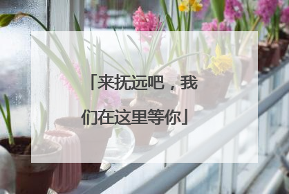 来抚远吧，我们在这里等你