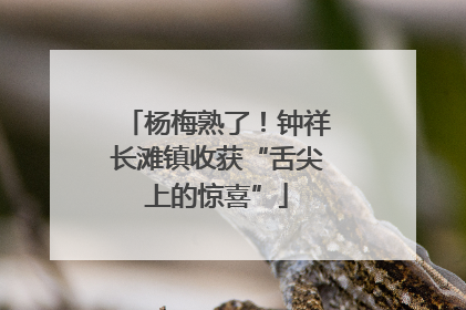 杨梅熟了！钟祥长滩镇收获“舌尖上的惊喜”