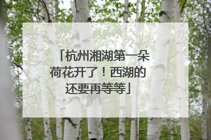 杭州湘湖第一朵荷花开了！西湖的还要再等等