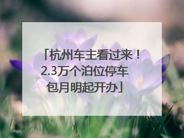 杭州车主看过来！2.3万个泊位停车包月明起开办