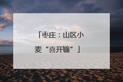 枣庄：山区小麦“喜开镰”