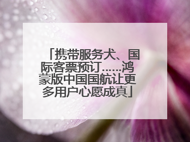 携带服务犬、国际客票预订……鸿蒙版中国国航让更多用户心愿成真