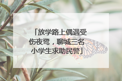 放学路上偶遇受伤夜鹭，聊城三名小学生求助民警