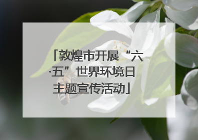 敦煌市开展“六·五”世界环境日主题宣传活动