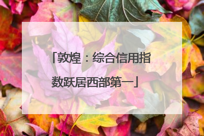 敦煌：综合信用指数跃居西部第一