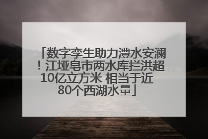 数字孪生助力澧水安澜！江垭皂市两水库拦洪超10亿立方米 相当于近80个西湖水量