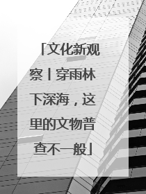 文化新观察丨穿雨林下深海，这里的文物普查不一般