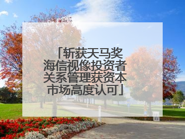 斩获天马奖 海信视像投资者关系管理获资本市场高度认可