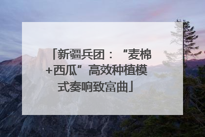 新疆兵团：“麦棉+西瓜”高效种植模式奏响致富曲