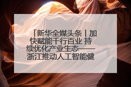 新华全媒头条丨加快赋能千行百业 持续优化产业生态——浙江推动人工智能健康有序发展观察