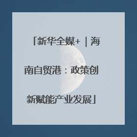 新华全媒+｜海南自贸港：政策创新赋能产业发展