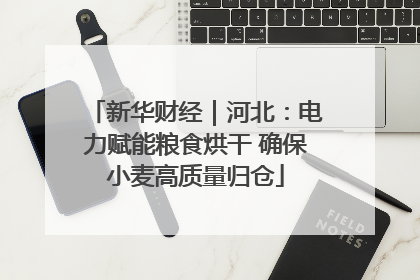 新华财经｜河北：电力赋能粮食烘干 确保小麦高质量归仓