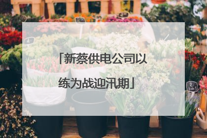 新蔡供电公司以练为战迎汛期