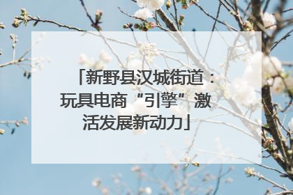 新野县汉城街道：玩具电商“引擎”激活发展新动力