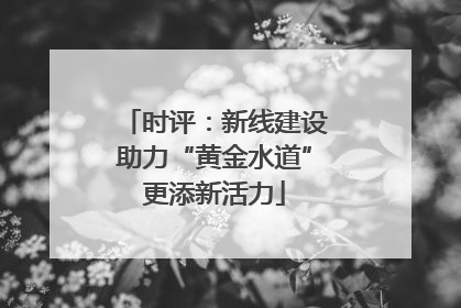 时评：新线建设助力“黄金水道”更添新活力
