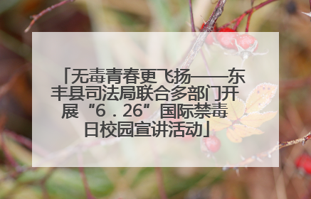 无毒青春更飞扬——东丰县司法局联合多部门开展“6．26”国际禁毒日校园宣讲活动