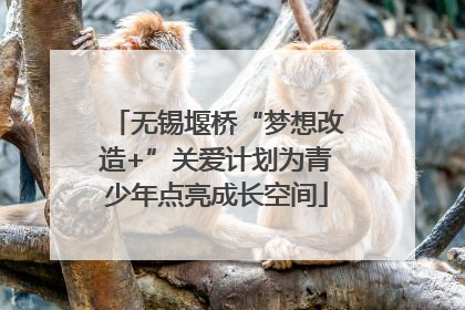 无锡堰桥“梦想改造+”关爱计划为青少年点亮成长空间