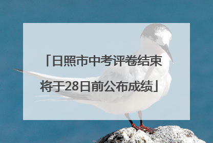 日照市中考评卷结束 将于28日前公布成绩