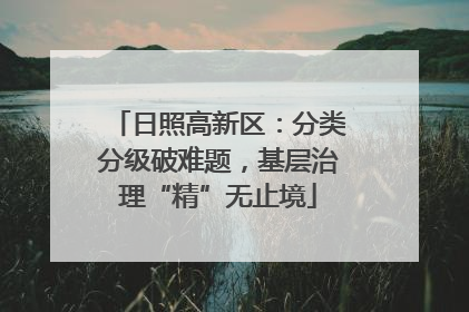 日照高新区：分类分级破难题，基层治理“精”无止境