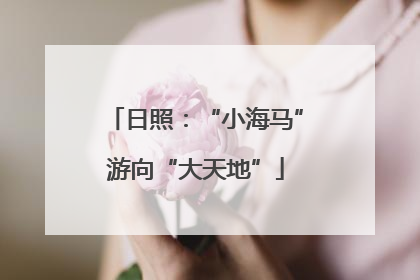 日照：“小海马”游向“大天地”
