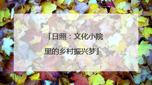 日照：文化小院里的乡村振兴梦
