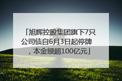 旭辉控股集团旗下7只公司债自6月3日起停牌，本金额超100亿元