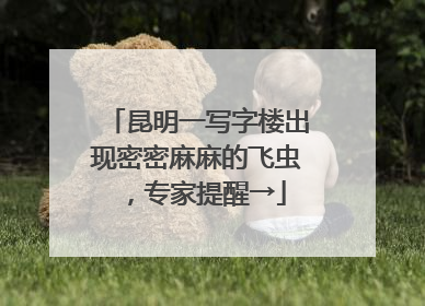 昆明一写字楼出现密密麻麻的飞虫，专家提醒→