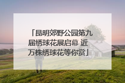 昆明郊野公园第九届绣球花展启幕 近万株绣球花等你赏