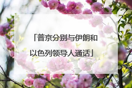 普京分别与伊朗和以色列领导人通话