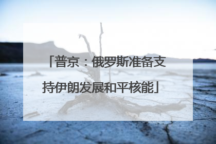 普京：俄罗斯准备支持伊朗发展和平核能