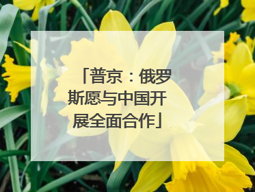 普京：俄罗斯愿与中国开展全面合作