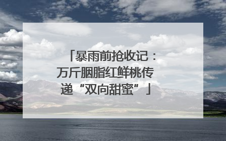 暴雨前抢收记：万斤胭脂红鲜桃传递“双向甜蜜”