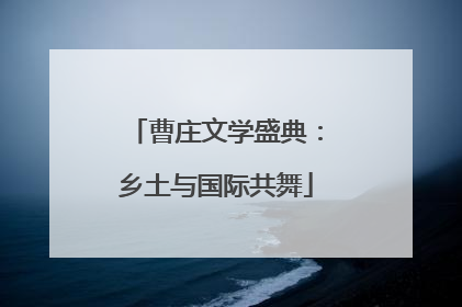 曹庄文学盛典：乡土与国际共舞