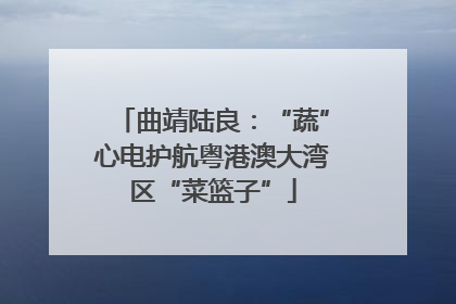 曲靖陆良：“蔬”心电护航粤港澳大湾区“菜篮子”