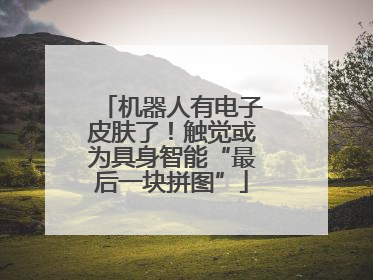 机器人有电子皮肤了！触觉或为具身智能“最后一块拼图”
