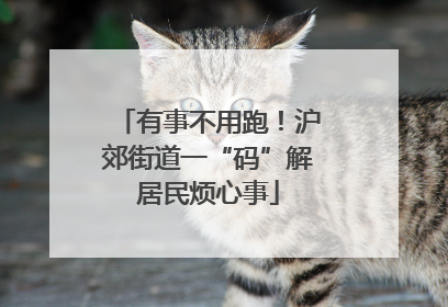 有事不用跑！沪郊街道一“码”解居民烦心事