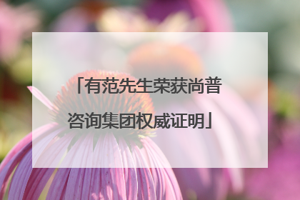 有范先生荣获尚普咨询集团权威证明
