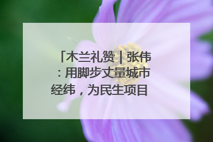 木兰礼赞｜张伟：用脚步丈量城市经纬，为民生项目按下“加速键”