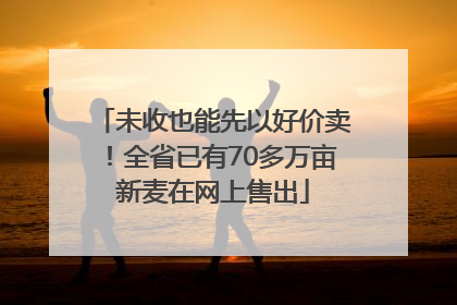 未收也能先以好价卖！全省已有70多万亩新麦在网上售出