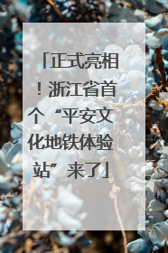 正式亮相！浙江省首个“平安文化地铁体验站”来了