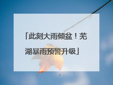 此刻大雨倾盆！芜湖暴雨预警升级