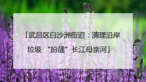 武昌区白沙洲街道：清理沿岸垃圾 “扮靓”长江母亲河